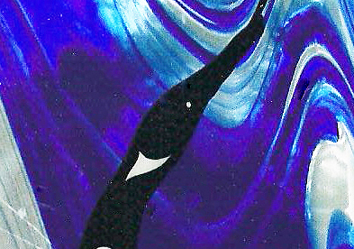 Loon Window, stained glass